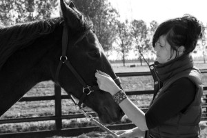 Guasha Therapie voor Paarden Contact